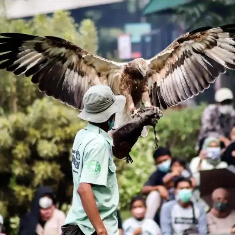 pakej percutian bandung aktiviti lembang zoo